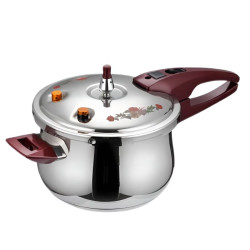 زودپز گازی 3 لیتر آیکو مدل AK501PC